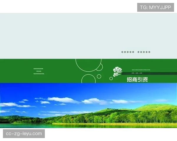 体育行业招商手册标准模板推广落地，体育招商引资建议