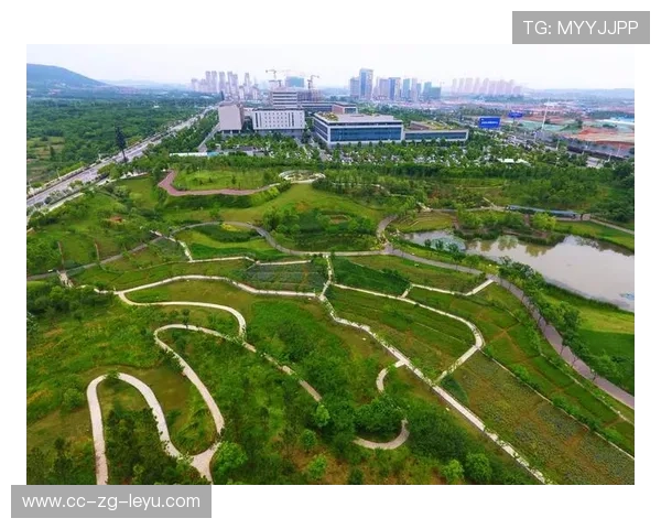 国家队塑造“青少年动能成长专区”，引进先进的青训管理系统